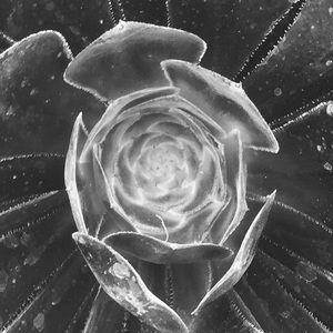 Meet your Posher, Debra